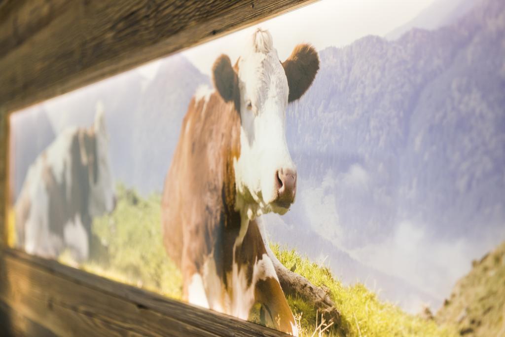 Pension Wendelstein Miesbach Luaran gambar